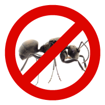 exterminateur-fourmis